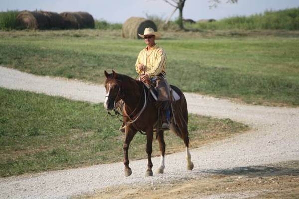 Camp_pics_0022_op_640x426.jpg